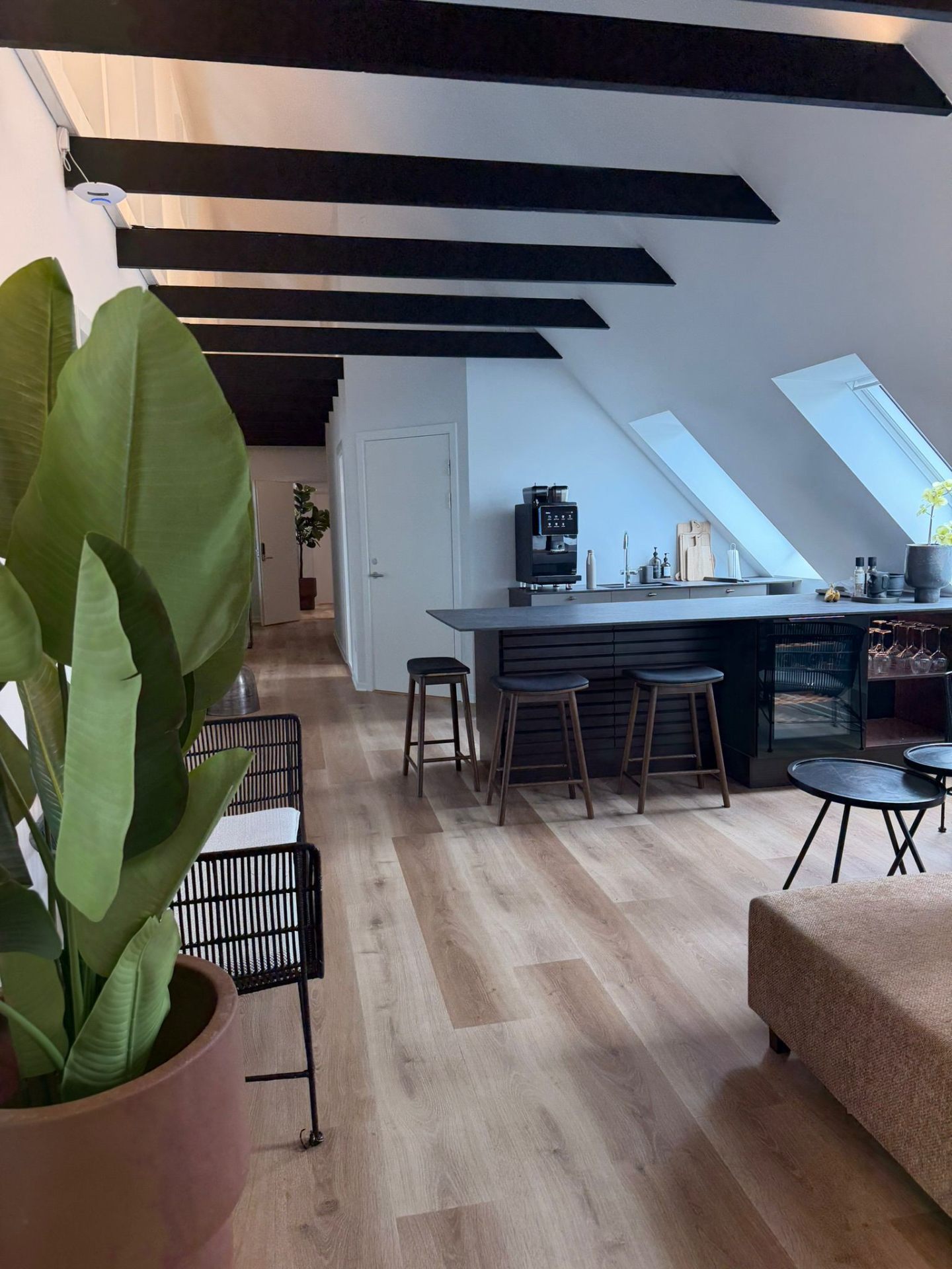 Lounge & fællesområde